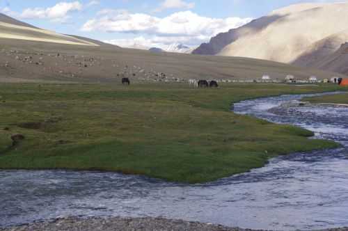 TREKKING IN LADAKH | CHANGTANG 2017